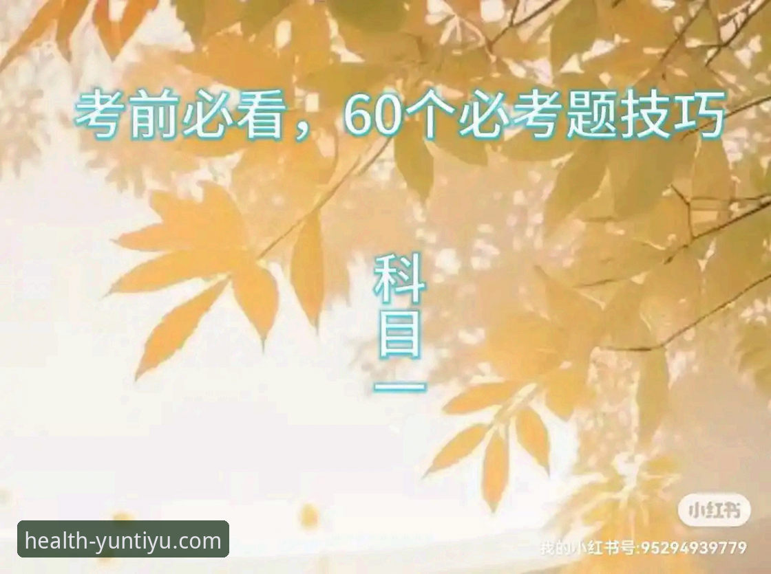 云体育运动建议攻略 云体育官方App使用教程:新手必看的云体育运动建议攻略